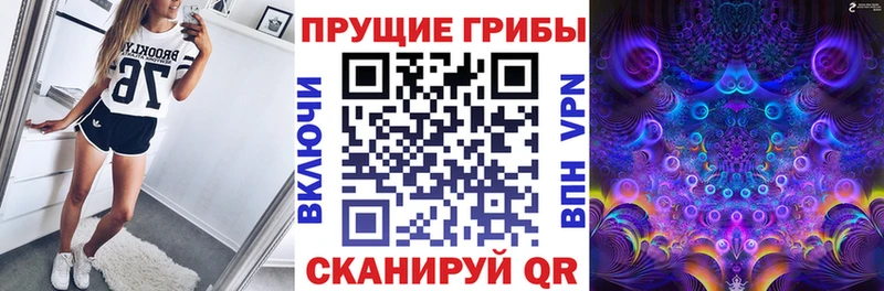 купить  цена  гидра зеркало  Псилоцибиновые грибы мухоморы  Нахабино 